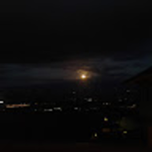 Meet your Posher, Mikaele - Picture 1 of 1